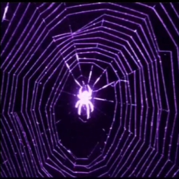 Meet your Posher, Jose - Picture 1 of 1